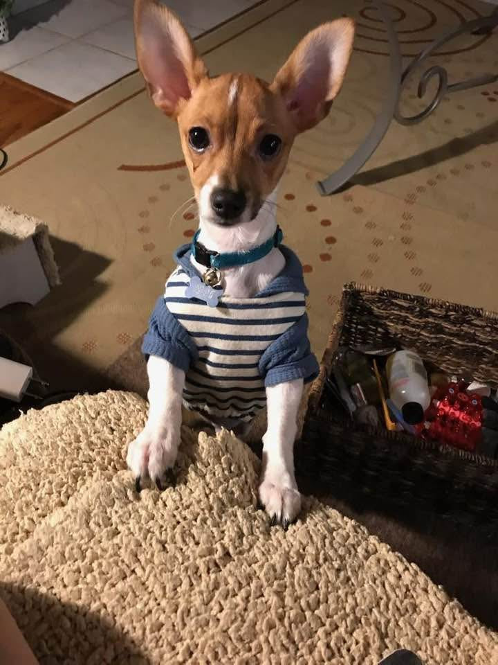 A Halloween Fall Bookish retreat